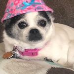 Kim Schnell Wilson - @kschnell12 - Instagram