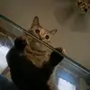 kimschnell493 - @kimschnell493 - TikTok