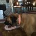 Kim Schreck - Facebook
