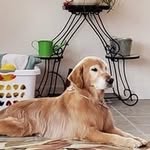 Kim Sebring - @kimsebring1415 - Instagram