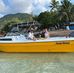 Spring Adventure Tours - Koh Tao - Facebook