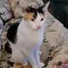 Kim Seebeck Reed - @kim.seebeck.reed - TikTok
