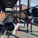 Kim Seitz - @seitz_kim - Instagram