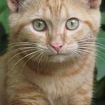 Kim Seitzinger - @seitzingerkim - Instagram