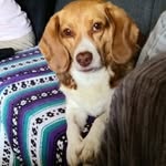 Kim Semple - @kims_2001ca - Instagram