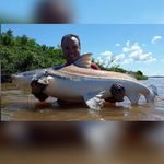 Joaquim Ignácio Correia Serra - @kimserra1965 - Instagram