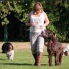 Kim Severn - @k7k9training - TikTok