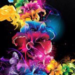 Kim Shears - @kjshears - Instagram