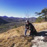 Kim Sheffield - @kim_sheffield - Instagram