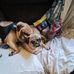 Kim Sherrod - Facebook