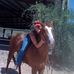 Kim Shinn - Facebook