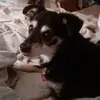 kimberlyshockley9 - @kimberlyshockley9 - TikTok