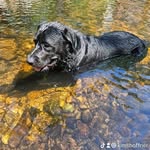 Kim Shoffner - @shoffner.k - Instagram