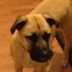 kimshortt - @kimshortt - Instagram