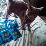kim shutt - @kimshutt70 - Instagram