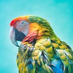 KIM - @shutter_kim - Instagram