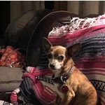 Kim Sigler - @sm1945533 - Instagram