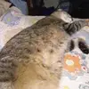 Kimberly Sigler - @kimberly.sigler - TikTok