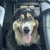 cdnkim - @kimsilkstone - TikTok