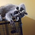 Kim Sills - @kim.sills.940 - Instagram