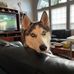Kim Silverman - Facebook
