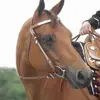 kimberlysilverman - @kimberly.silverma6 - TikTok