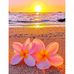 Kim Simmons - Facebook