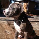 Kim Simonds - @simondskim - Instagram