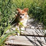 Kim Simonds - @kim.simonds.56 - Instagram