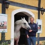 kim simonsen - @feldballe_hingstecenter - Instagram