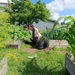 kim simonsen - @vores_sted_ - Instagram