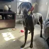 Kimm Yay - @kimbahmersines - TikTok