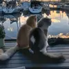 kimskippertherock - @kimskippertherock - TikTok