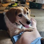 Kim Downs Slagle - @kimsueslagle - Instagram
