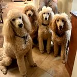Kim Slagle - @kimberly_slagle - Instagram