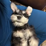 Kim Slone - @foreverandaday02 - Instagram