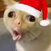kim socha - @sreyoun3427 - TikTok