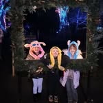 Kim Solloway - @kimsolloway - Instagram