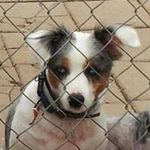 Kim Sorrell - @kimsorrell - Instagram