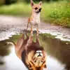 Kim Soto - @kim_s0t0 - TikTok