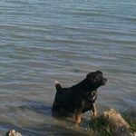 Kim Sparrow Mim Christie - @mim1056 - Instagram