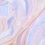 kim van de specht - @kimvandespecht - Instagram
