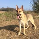 Kim Stacey - @sonbou66 - Instagram