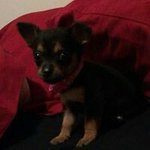 Kim Stamper - @kim.stamper.98 - Instagram