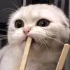 user836172224373 - @kim_stang - TikTok