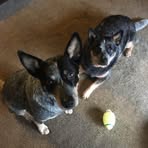 Kim Stanton - Facebook