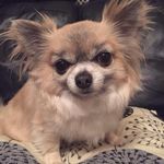 Kim Stanton - @kimstanton7736 - Instagram