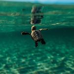 Kim Stanton - @down.to.earth.photo - Instagram