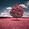 Kim_Starling - @kim_starling - TikTok