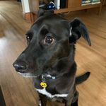 Kim Statler - @kimbostat2 - Instagram